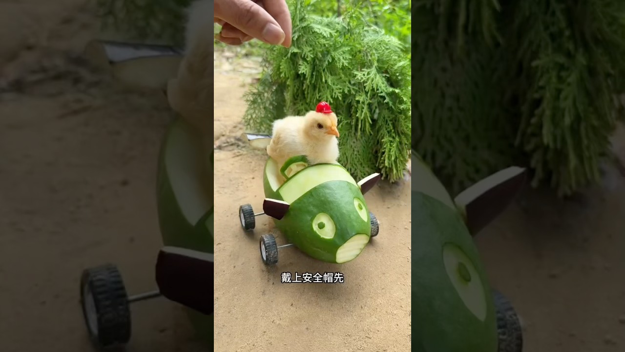 Mango Car 😍~ mini woodtoy-woodworking art skill/ handcrafts/#shorts #trending