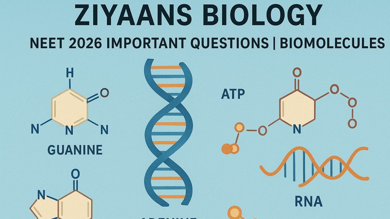 NEET 2026 Important Questions | Biomolecules - YouTube