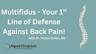 Chiropractor Richmond VA | Back Pain at Aligned Chiropractic