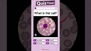 Part 3 - Comment your answer👇#quiz #flashcard #microscope #bloodcells #bloodsample #wbc #basophil