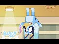 Bluey temporada 2 episodios completos  bluey espaol canal oficial