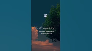 سورة الفجر | القارئ محمد ديبيروف
