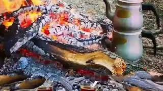 Niye Böyle Erken Çöktün Gençliğim..