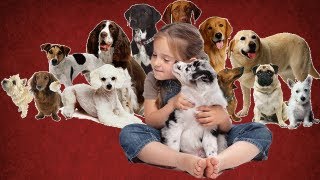 Michelle Plays With Puppies Prank Call