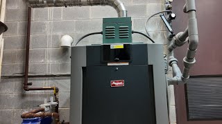 Pool boiler Raypak Repair