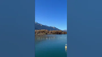 What A Beautiful Place 