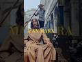 max mara venetia