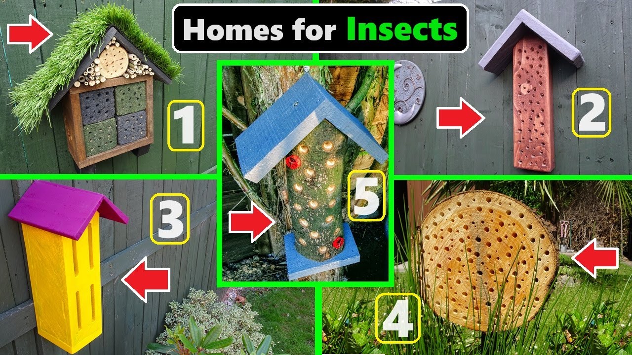 5 Projects to Attract Insects into your Garden - YouTube