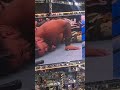 THE SAMOAN WEREWOLF, JACOB FATU￼￼