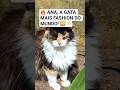 EU SOU UMA GATA FASCHION! 🥰 #funnyanimals #shorts