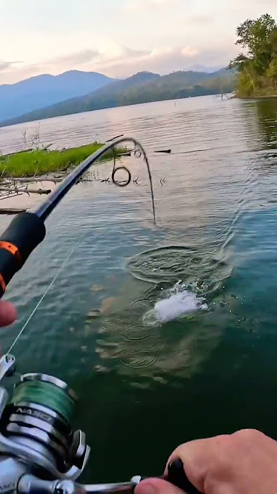 Extreme Giant Snakehead Fishing!!!
