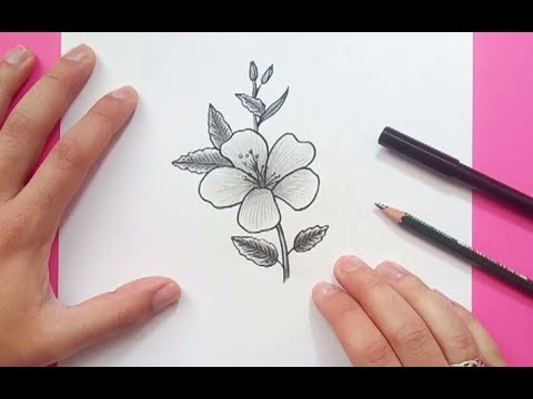 Video: Cómo Dibujar Una Flor A Mano