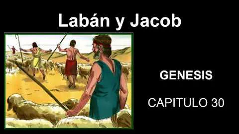 ¿Quién trabajó 7 años por una esposa en la Biblia?