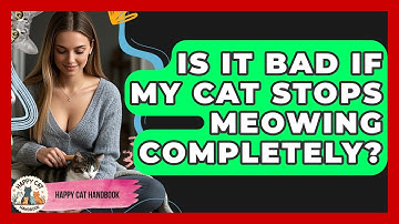 Is It Bad If My Cat Stops Meowing Completely? - Happy Cat Handbook