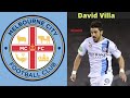 David villa  all 2 goals melbourne city