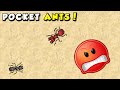 NÃO DEVIA TER CHEGADO PERTO DA FORMIGA VERMELHA - Pocket Ants: Colony Simulator