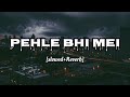 Pehle bhi main slowed  reverb  vishal mishra  animal  dweepthree music