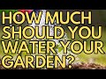 💧 How Much Should You Water Your Vegetable Garden? 💧