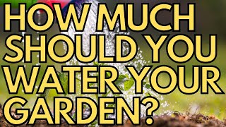 💧 How Much Should You Water Your Vegetable Garden? 💧