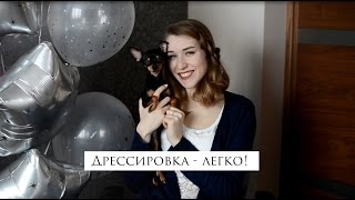 Воспитание собак | Или как я приручила Киму? Воспитание собак | Или как я приручила Киму?