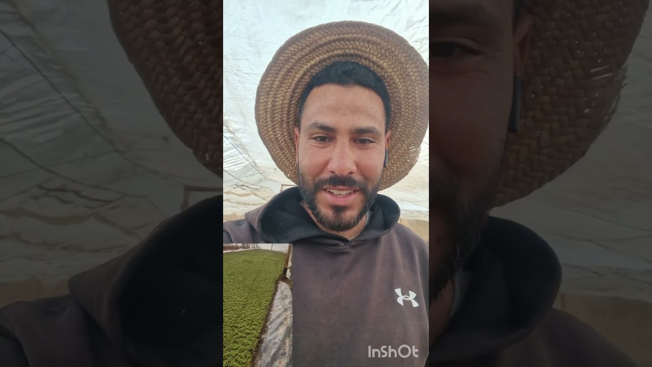 مشاكل اللون البني في الأزولا السبب والعلاج  #farming #اكسبلور #الأزولا #أزولا_النيلوتيكا_الأصلية