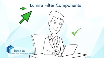 Add & Define Filter Components in SAP Lumira Designer Applications