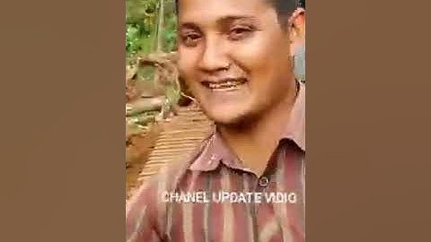 Pohon keluar air saat di tebang