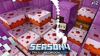 End raiding but I can only eat cake?! | Truly Bedrock Season 4 #12