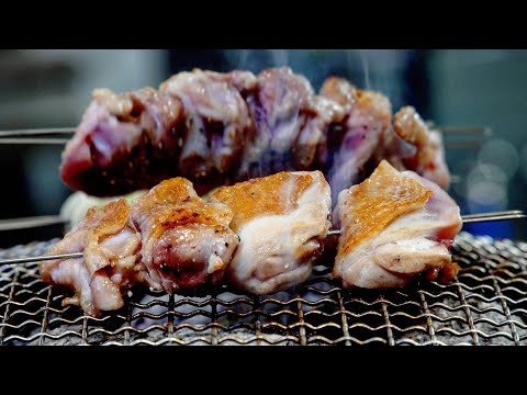 토종닭이 질기다구요..? 국내 최고의 토종닭 농장에 방문했습니다.