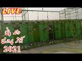 Dostana pigeons amra live streaming 2021  kabootar bazi from amra kalan