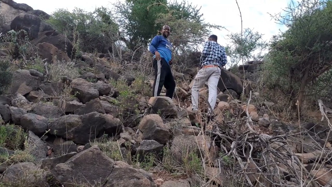 Naagusoo Biir Oo Naladaawo Booqashada Dhulka Qurxoon Ee Araabi  iyo Burtii Mudha same Like Iyo Share