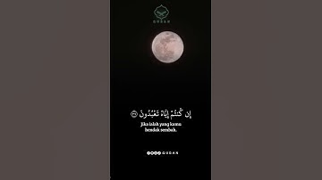 تلاوة ♥ #تلاوة_خاشعة #آيات #اللهم_صل_وسلم_على_نبينا_محمد #راحة_نفسية #قرآن #لايك #القرآن_الكريم