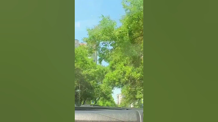 28 июня 2025 г.