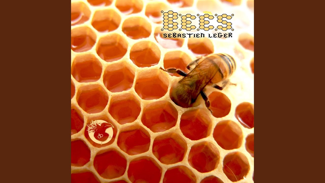Bees (Original Mix) auf YouTube ansehen Bees (Original Mix) auf YouTube ansehen