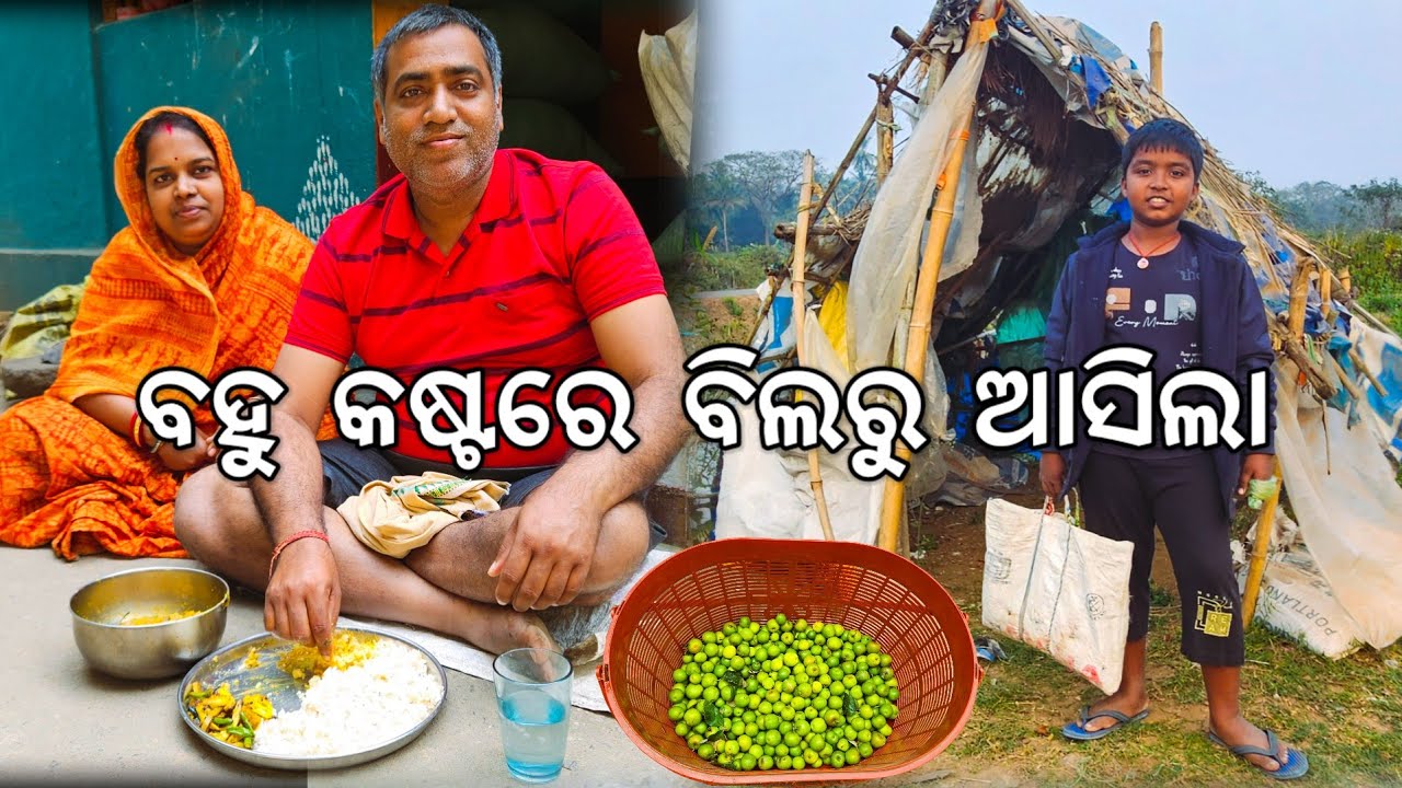 ବହୁ କଷ୍ଟରେ ବିଲରୁ ଆସିଲା l ଘରେ ବିଳମ୍ବରେ ରୋଷେଇ l Gouranga Nayak Odia Vlogs 