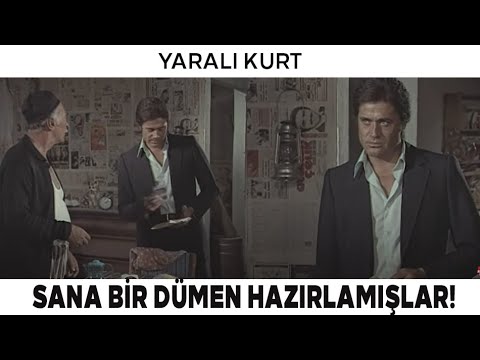 Yaralı Kurt | Ali'yi Dolandırıyorlar'