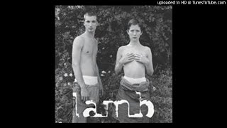 Lamb - 18. Illumina