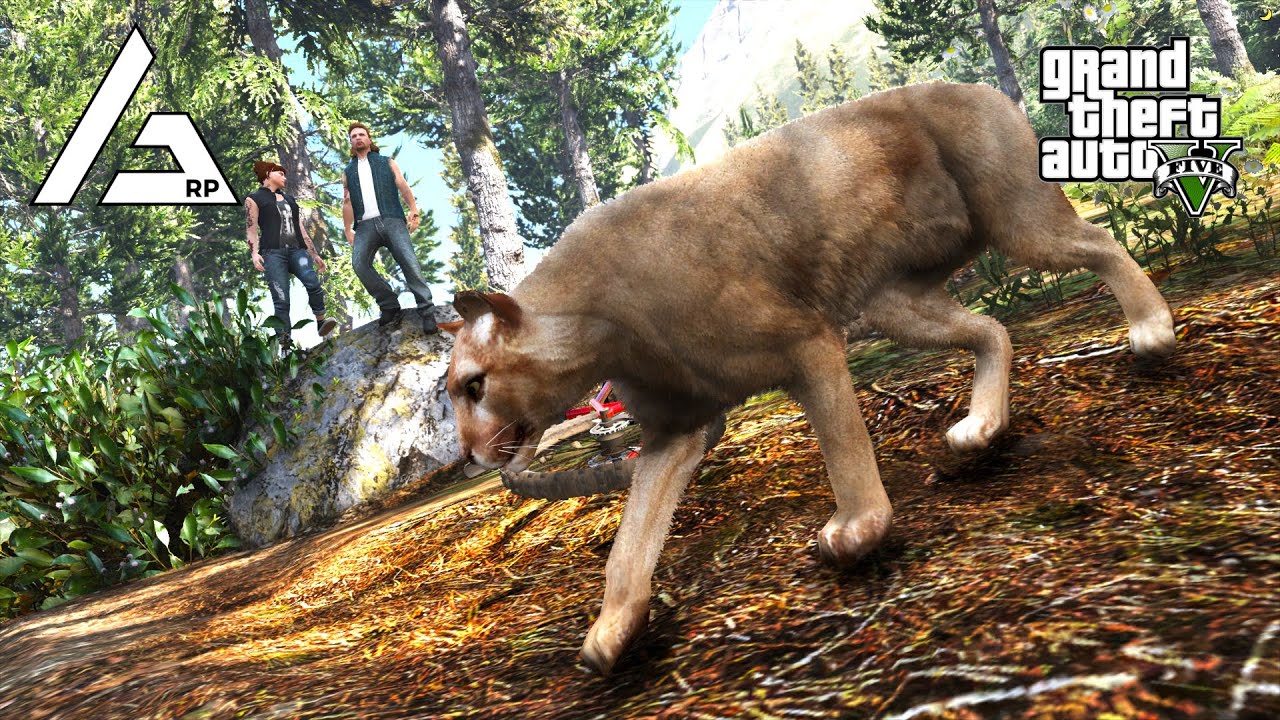 GTA 5 Roleplay - ARP - #390 - The Mountain Lion and the Karen.