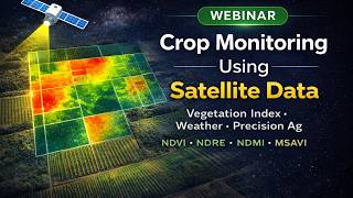 Crop Monitoring Using Satellite Data | NDVI, Weather & Precision Agriculture Explained