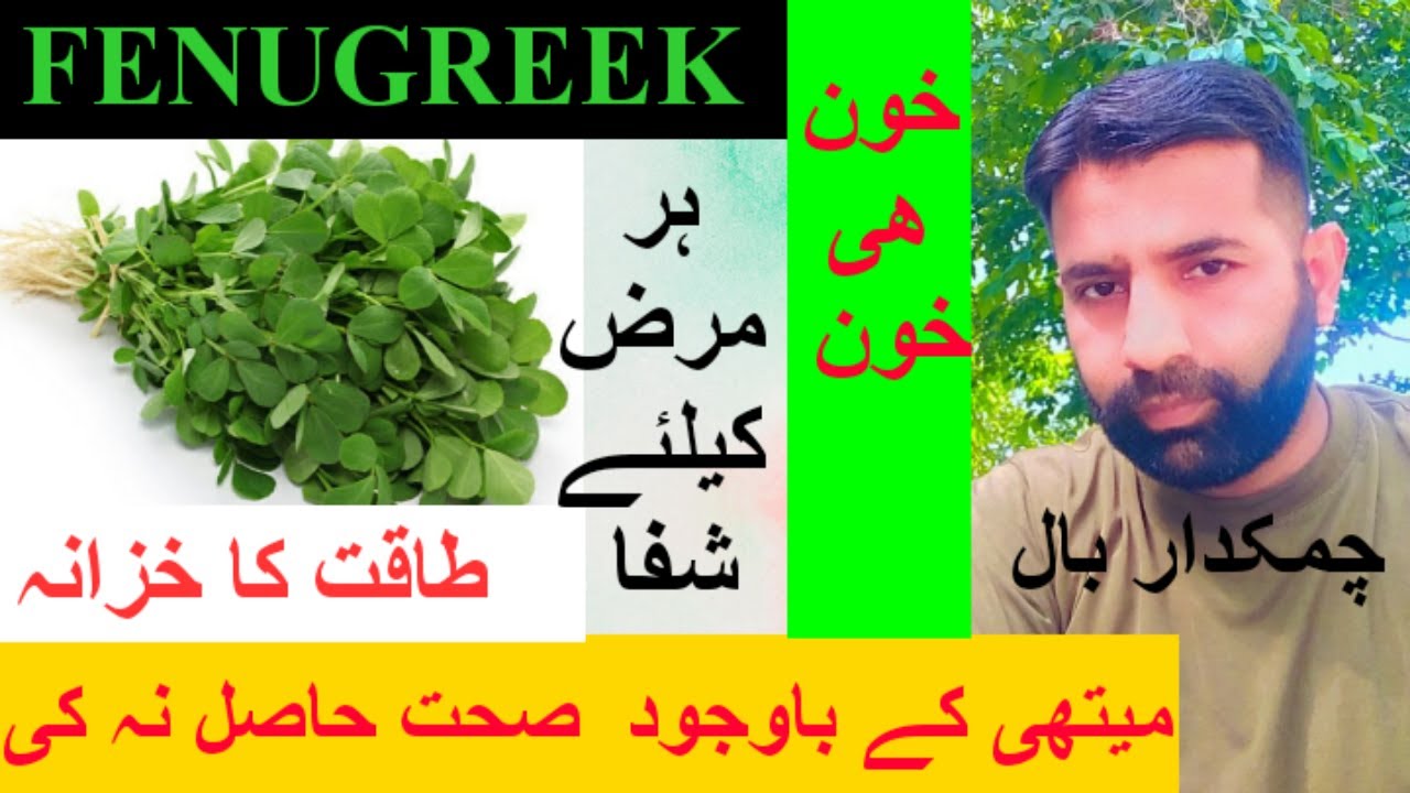 FENUGREEK HEALTH MISSION HOW TO INCREASE YOUR HB LEVEL, DIGESTIVE