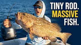 We Caught Giant Fish with Tiny Fishing Poles