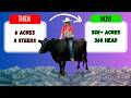 How we built a Beef Business on 6 acres with 4 steers (and then SCALED!!!)