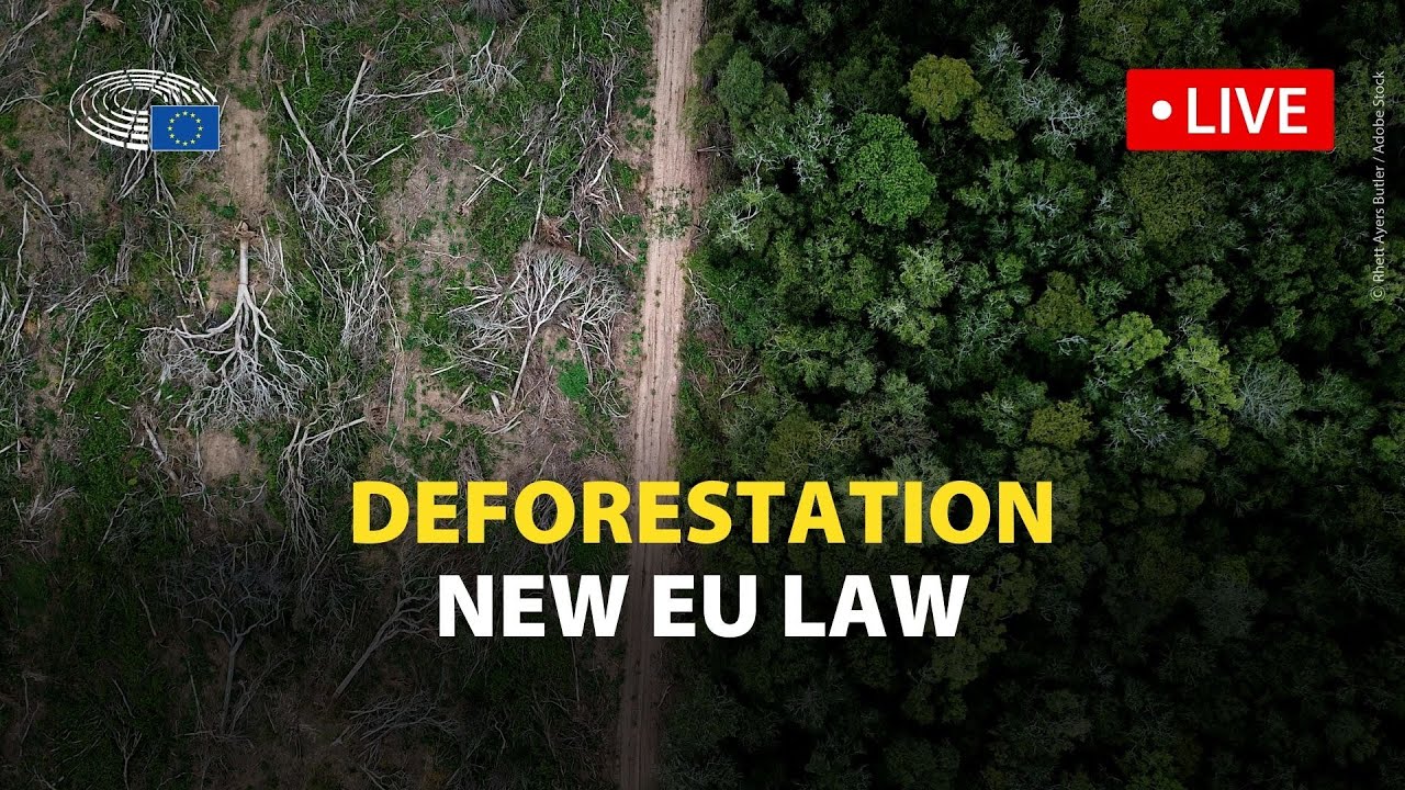 Parliament to adopt new law to stop EU sale of products causing ...