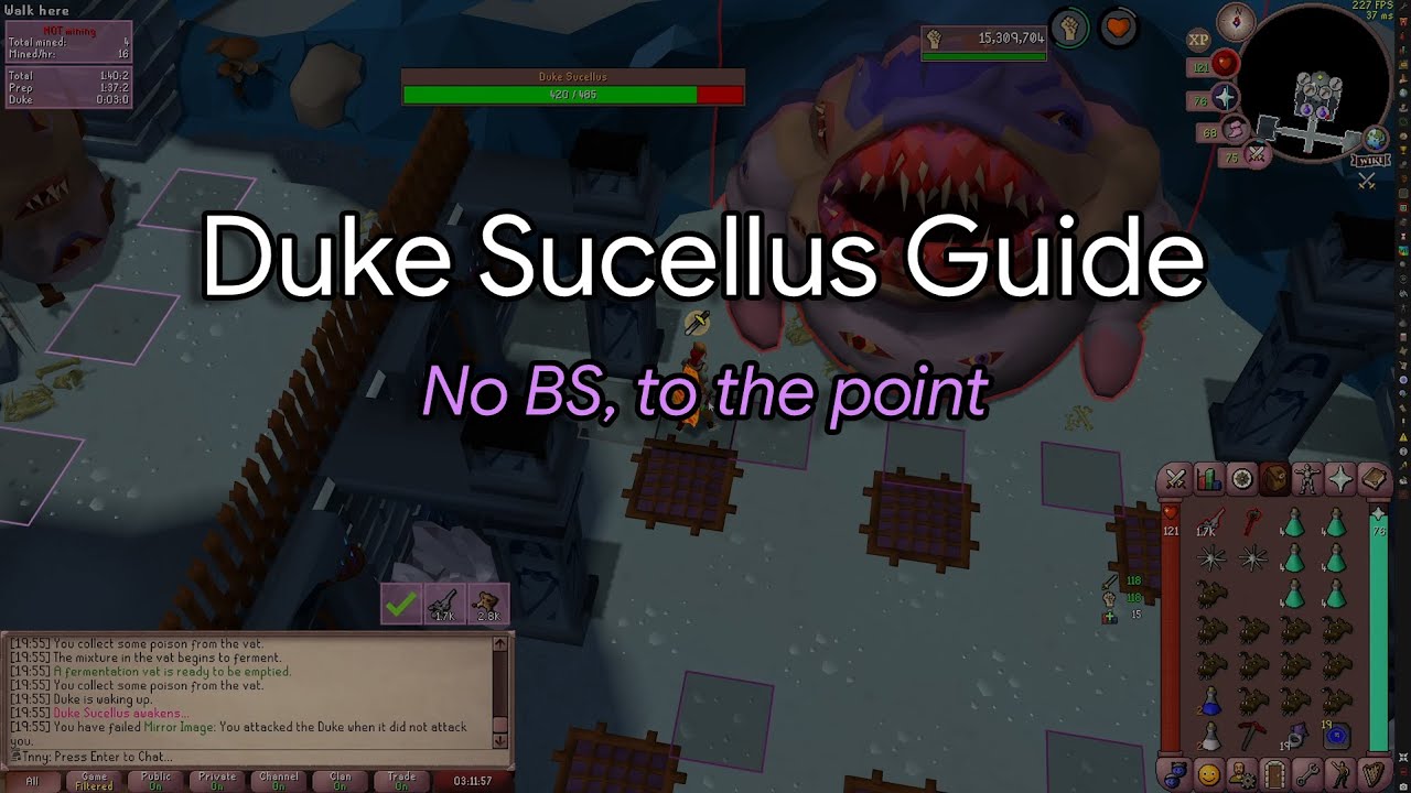 OSRS Duke Sucellus Quick Guide for Low / Mid Level Ironman (2025)