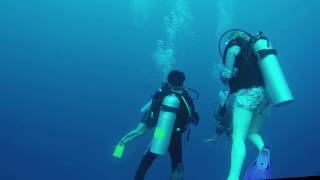 Maldives Diving Footage - Un-edited