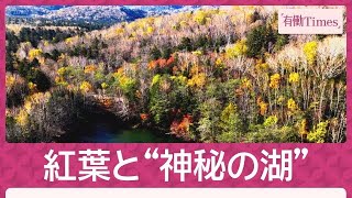 紅葉が彩る活火山と“神秘の湖”「オンネトー」アイヌ文化が息づく“北海道三大秘湖”(2026年10月18日)