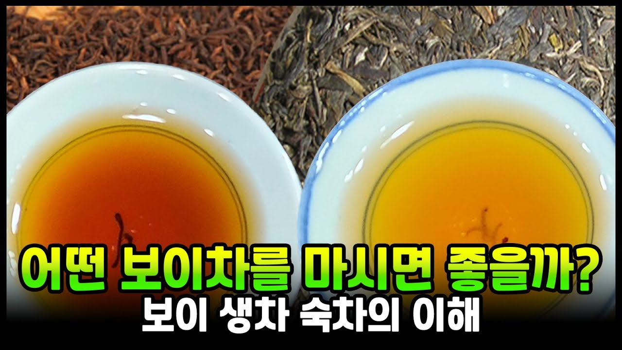 보이차 추천 보이생차, 숙차의 차이와 마시는 방법