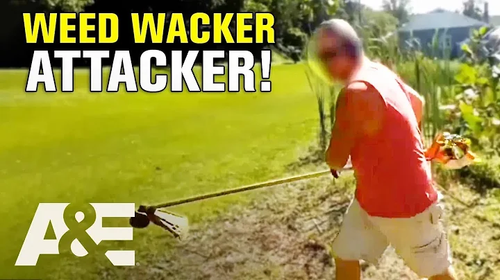 Neighborhood Wars: The Wildest Moments from Season 8 | A&E