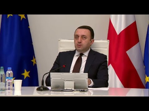 ირაკლი ღარიბაშვილის განცხადებები მთავრობის სხდომაზე