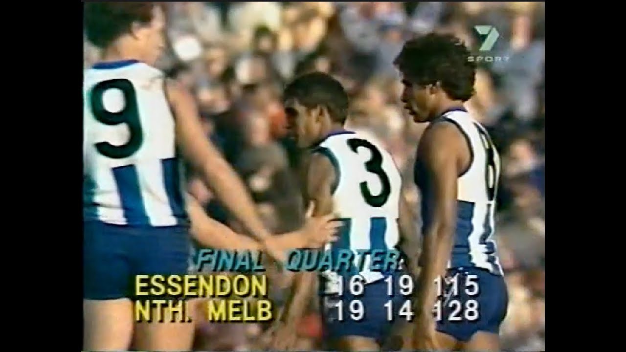 1982 Elimination Final - North Melbourne vs Essendon, Waverley Park